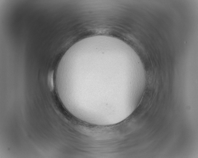 X0000075860028200609291559