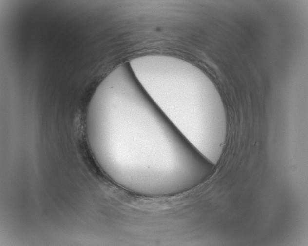 X0000075860029200609291559