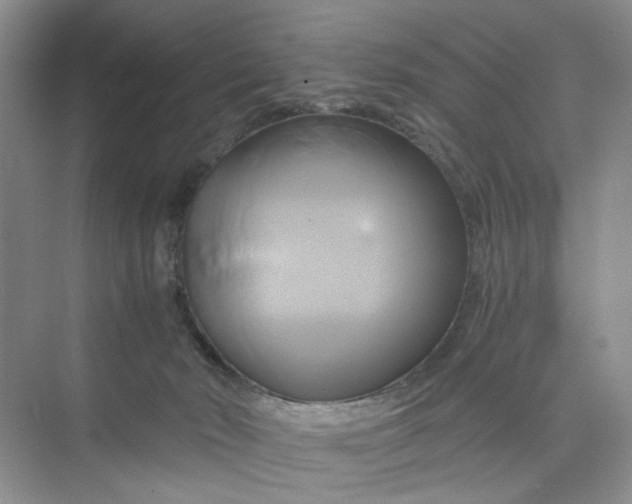 X0000075860030200609291559