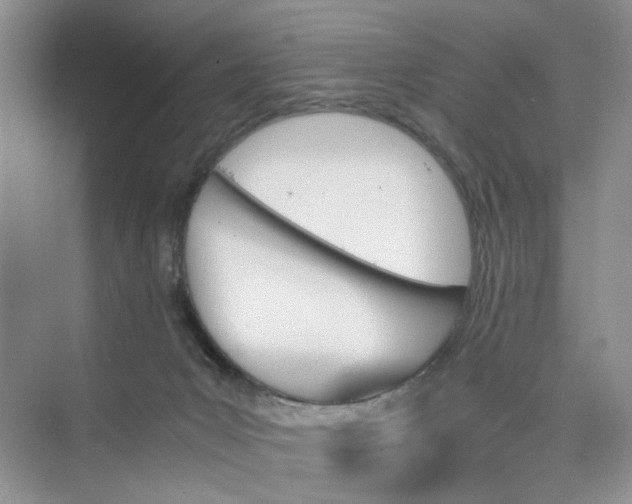 X0000075860031200609291559