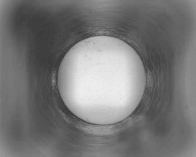 X0000075860032200609291559