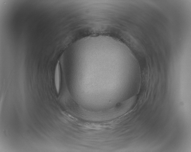 X0000075860033200609291559