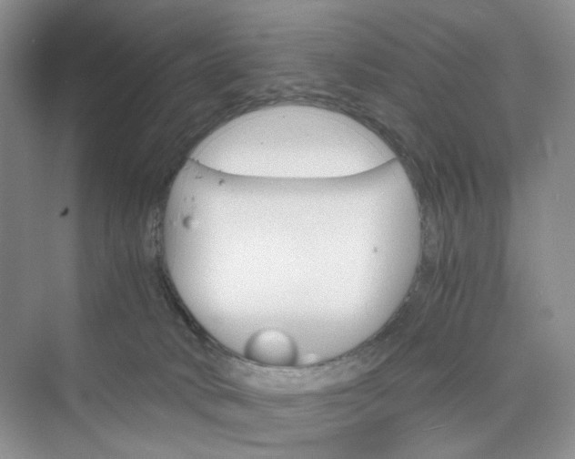 X0000075860034200609291559