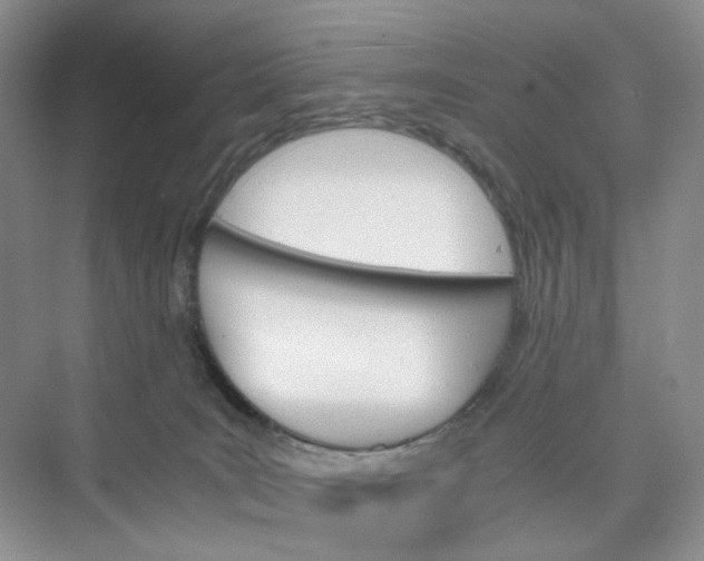 X0000075860035200609291559