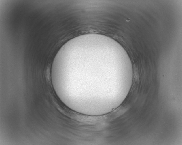 X0000075860036200609291559