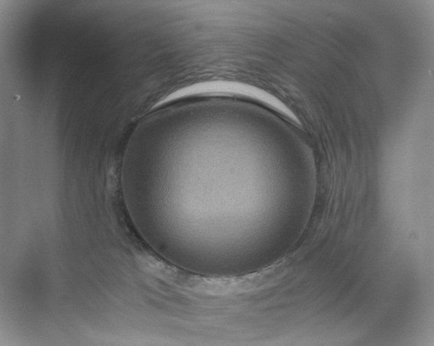 X0000075860037200609291559