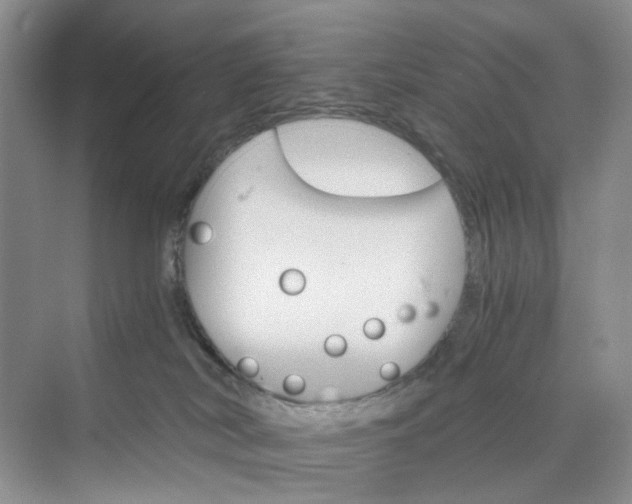 X0000075860038200609291559