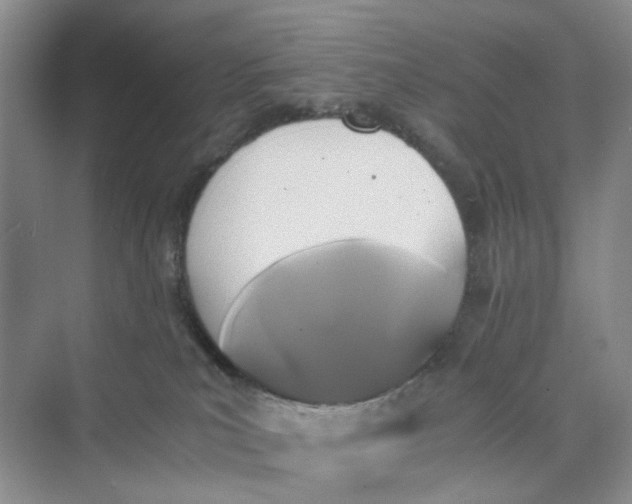 X0000075860039200609291559