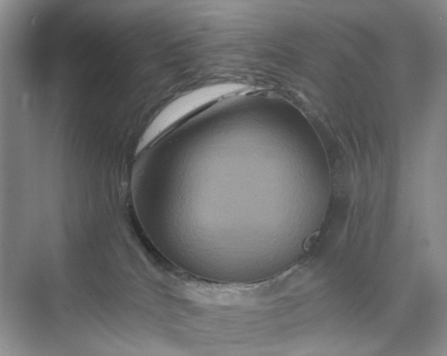 X0000075860040200609291559