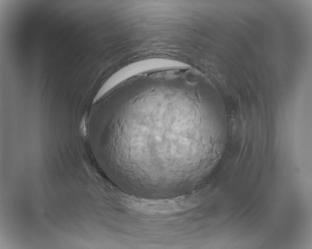 X0000075860042200609291559