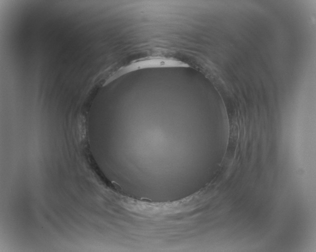 X0000075860043200609291559