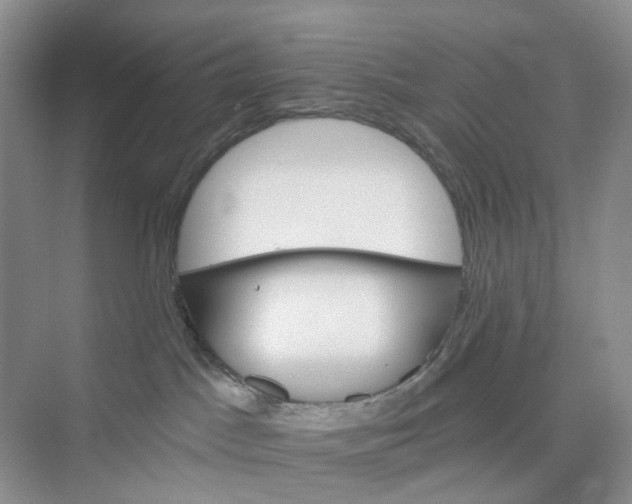 X0000075860045200609291559