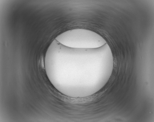 X0000075860046200609291559