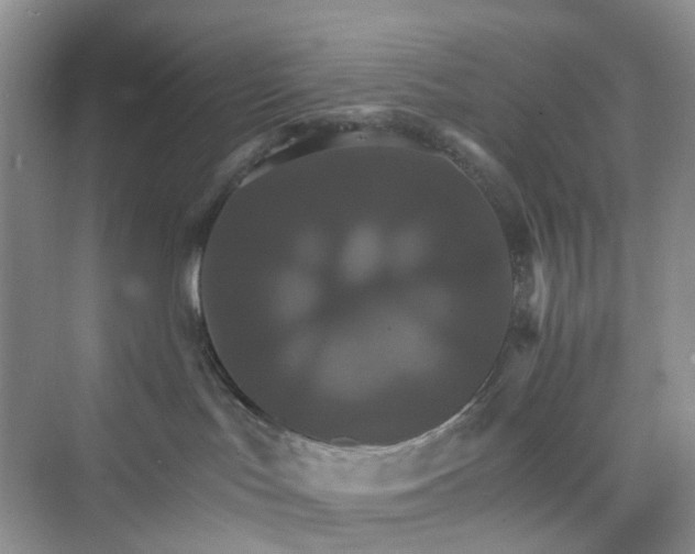 X0000075860047200609291559