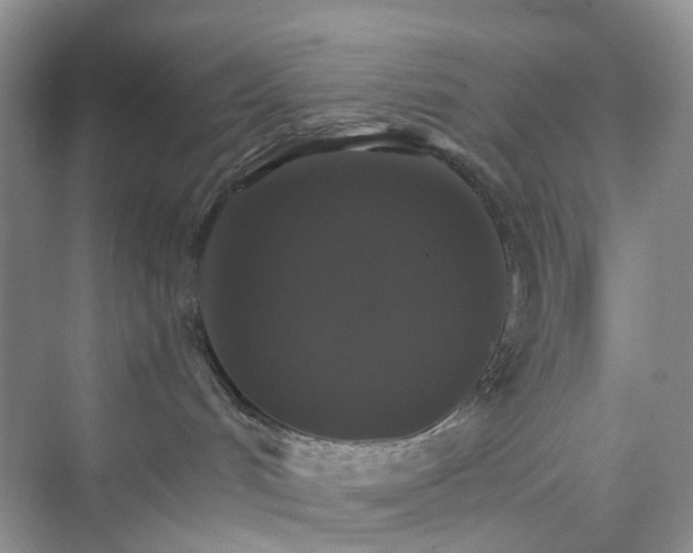 X0000075860048200609291559