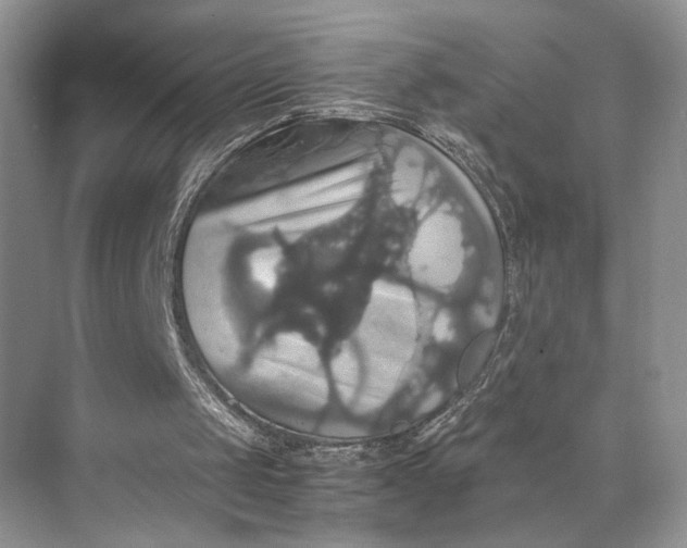 X0000075860049200609291558