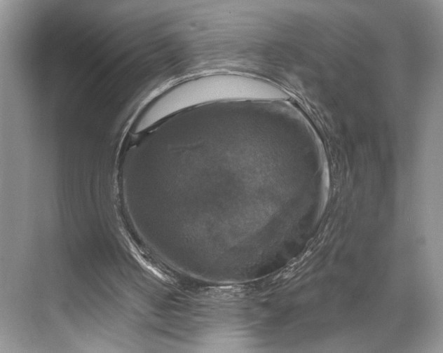 X0000075860050200609291558