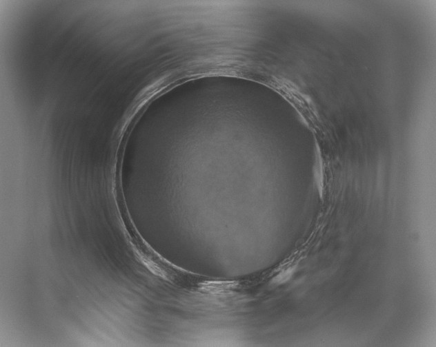 X0000075860051200609291558