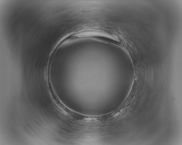 X0000075860052200609291558