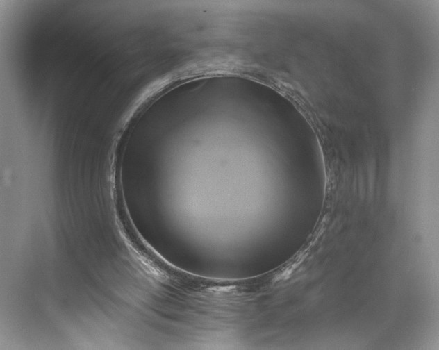 X0000075860054200609291558