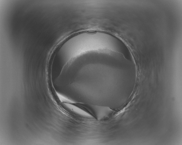 X0000075860055200609291558