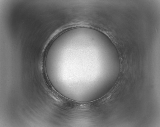 X0000075860056200609291558