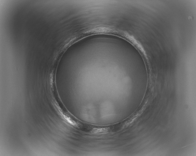 X0000075860057200609291558