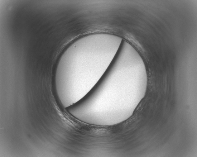 X0000075860058200609291558