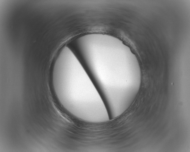 X0000075860059200609291558