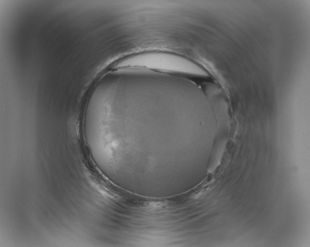 X0000075860060200609291558