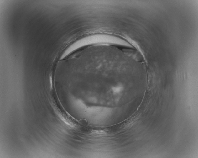 X0000075860061200609291558