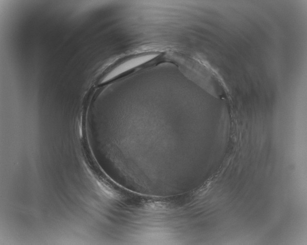 X0000075860062200609291558