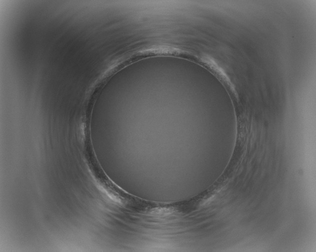 X0000075860063200609291558