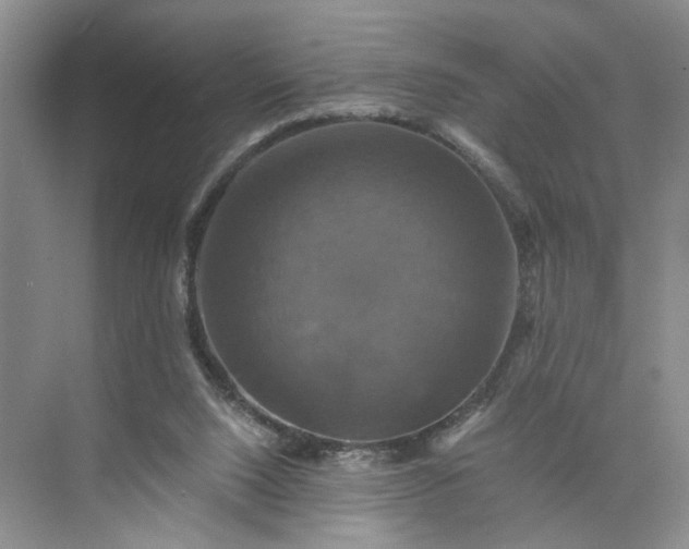 X0000075860064200609291558