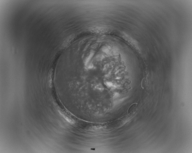 X0000075860065200609291558