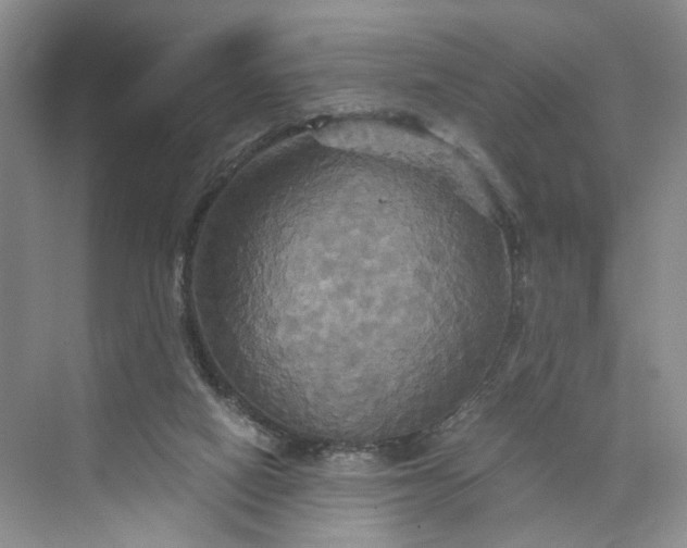 X0000075860066200609291558