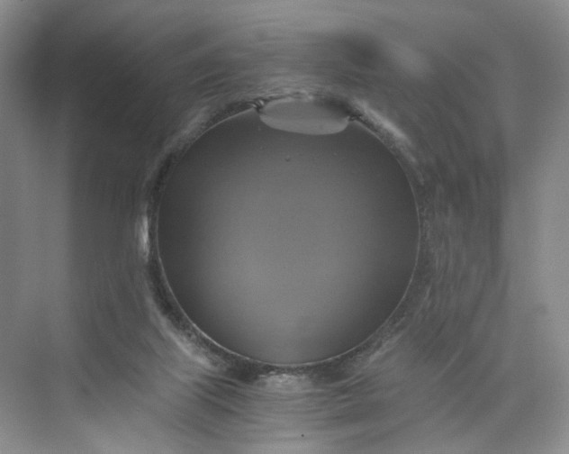 X0000075860067200609291558