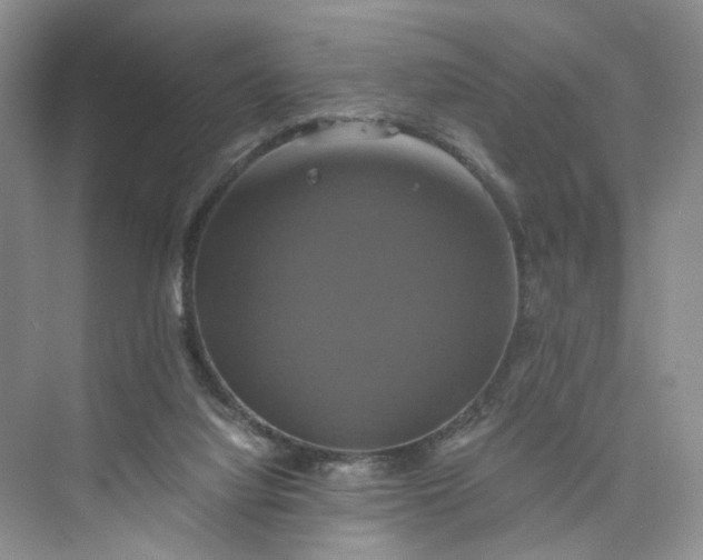 X0000075860068200609291558