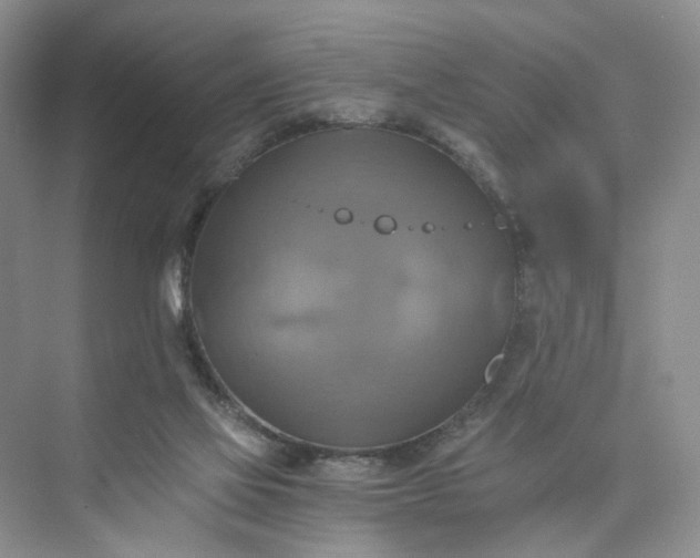 X0000075860069200609291559