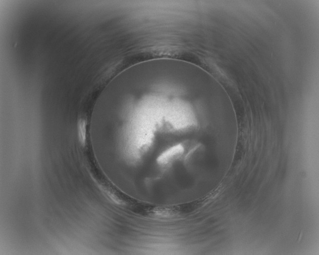 X0000075860070200609291559