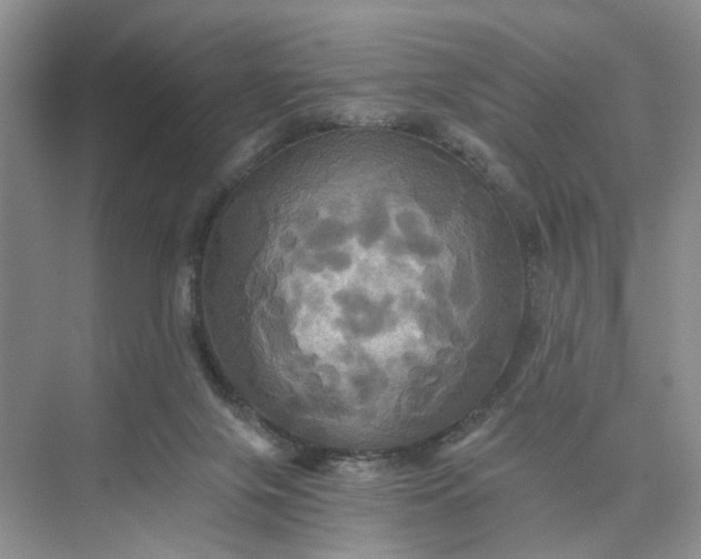 X0000075860071200609291559