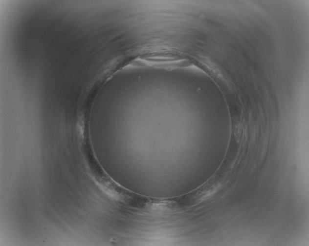 X0000075860072200609291559