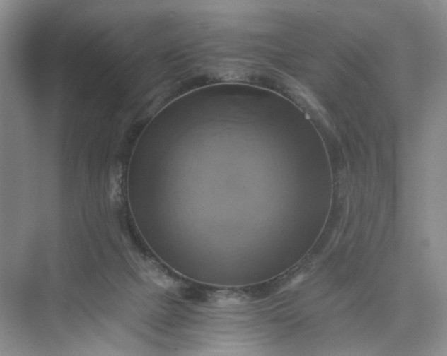 X0000075860073200609291559