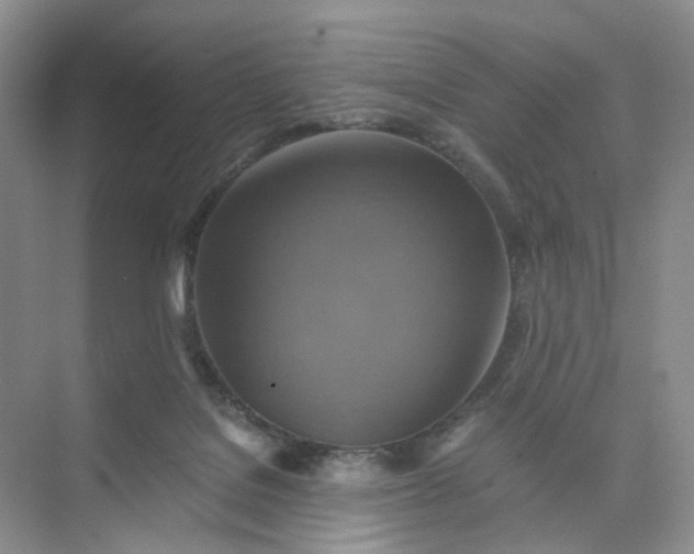 X0000075860076200609291559