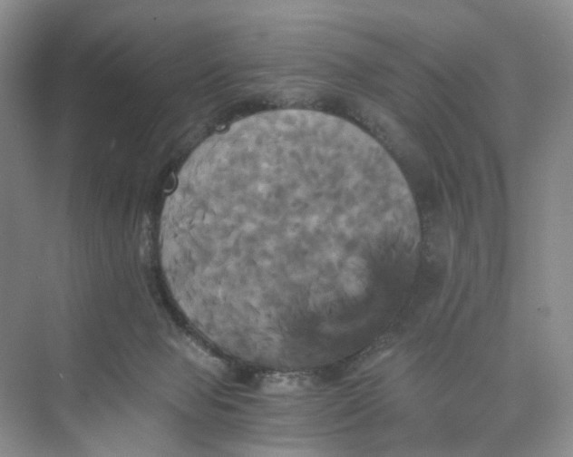 X0000075860077200609291559