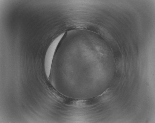 X0000075860078200609291559