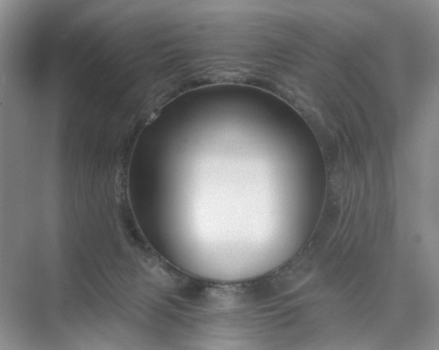 X0000075860079200609291559