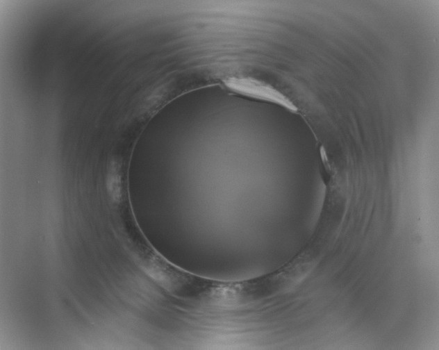 X0000075860080200609291559