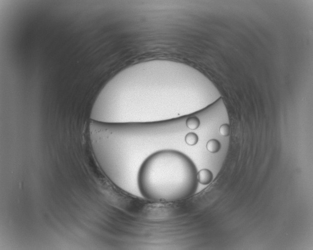 X0000075860082200609291559