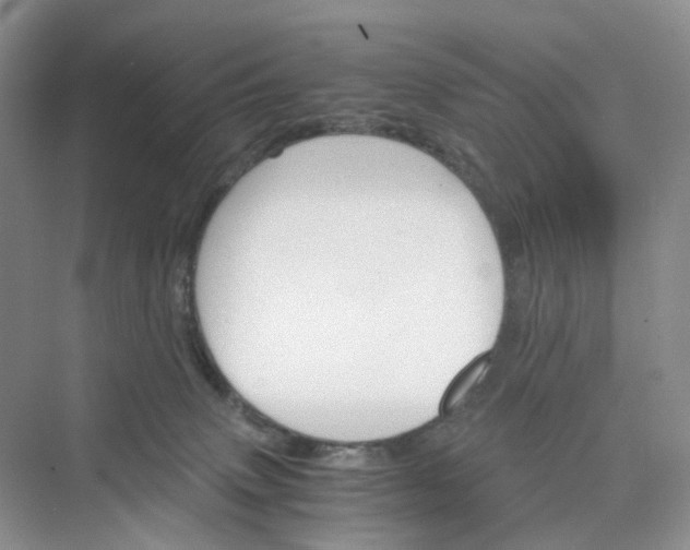 X0000075860083200609291559